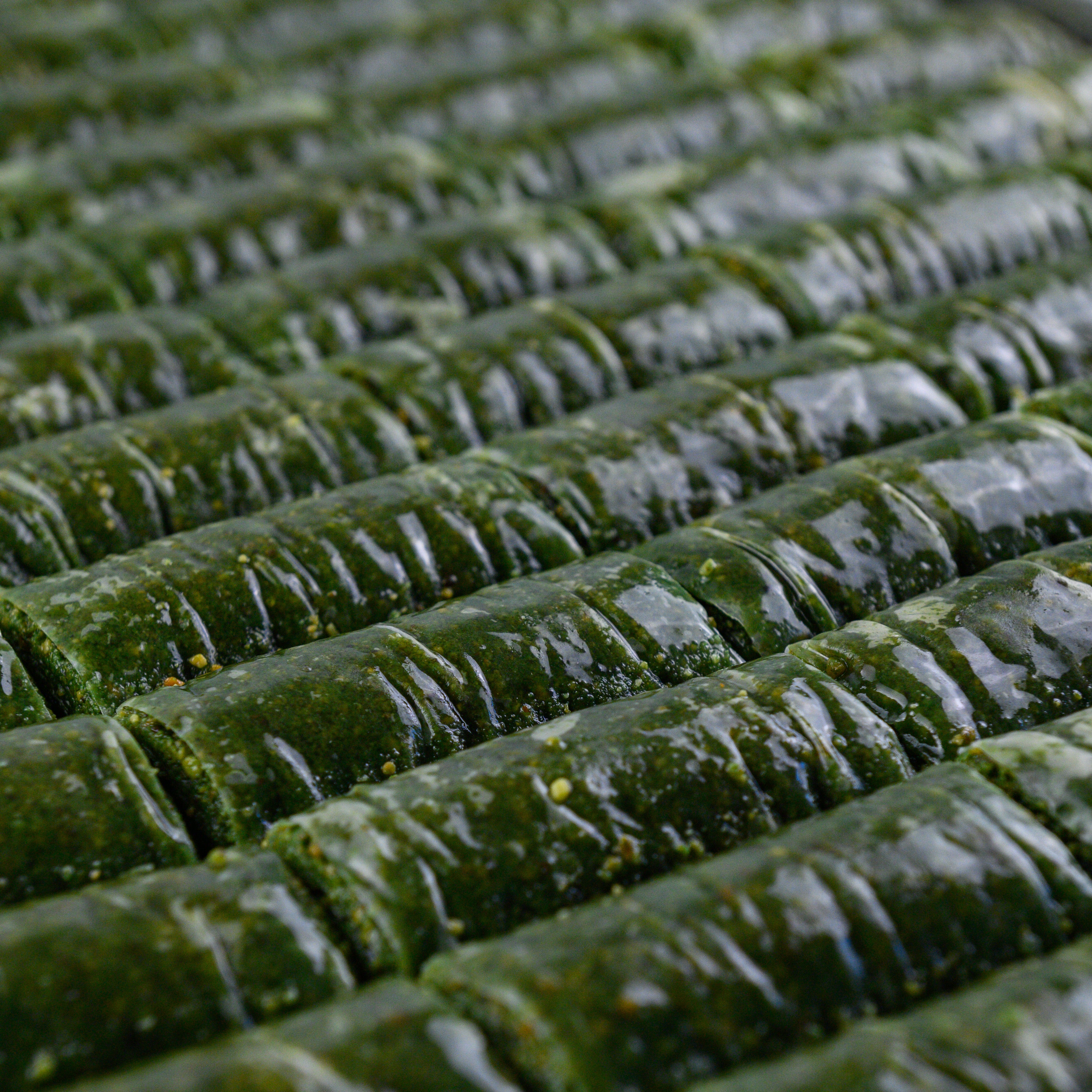 Burma Pistacjowa